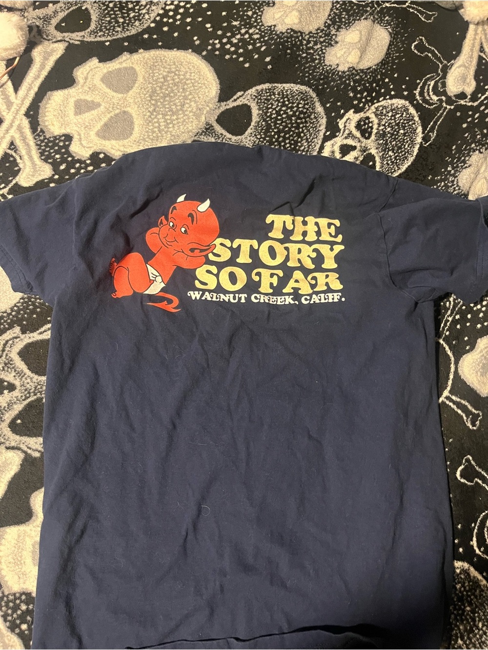 Vintage 2000s pop punk the story so far tee